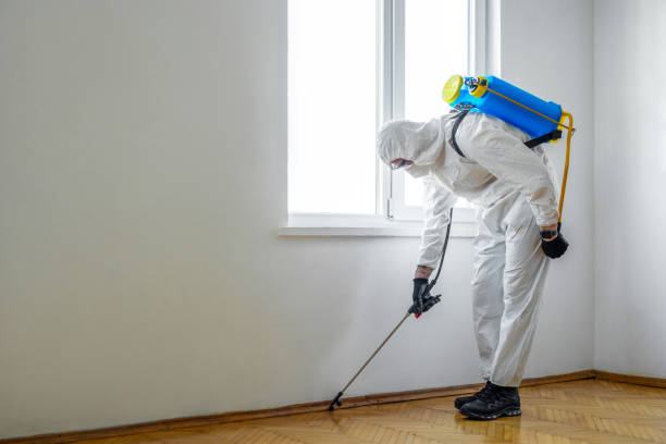 Best Pest Prevention Services  in Harlem, FL